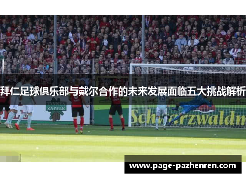 拜仁足球俱乐部与戴尔合作的未来发展面临五大挑战解析