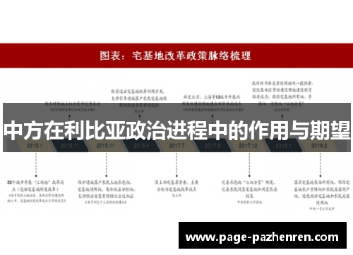 中方在利比亚政治进程中的作用与期望