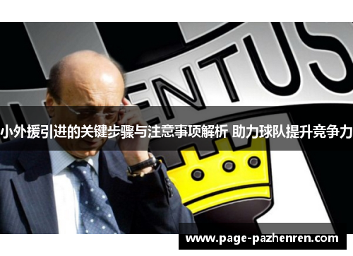 小外援引进的关键步骤与注意事项解析 助力球队提升竞争力