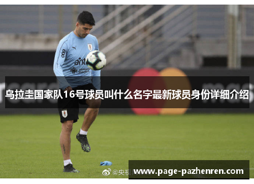乌拉圭国家队16号球员叫什么名字最新球员身份详细介绍