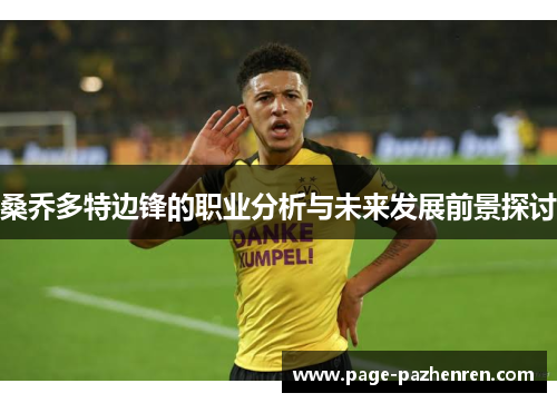 桑乔多特边锋的职业分析与未来发展前景探讨