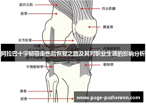 阿拉巴十字韧带重伤后恢复之路及其对职业生涯的影响分析