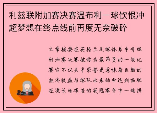 利兹联附加赛决赛温布利一球饮恨冲超梦想在终点线前再度无奈破碎